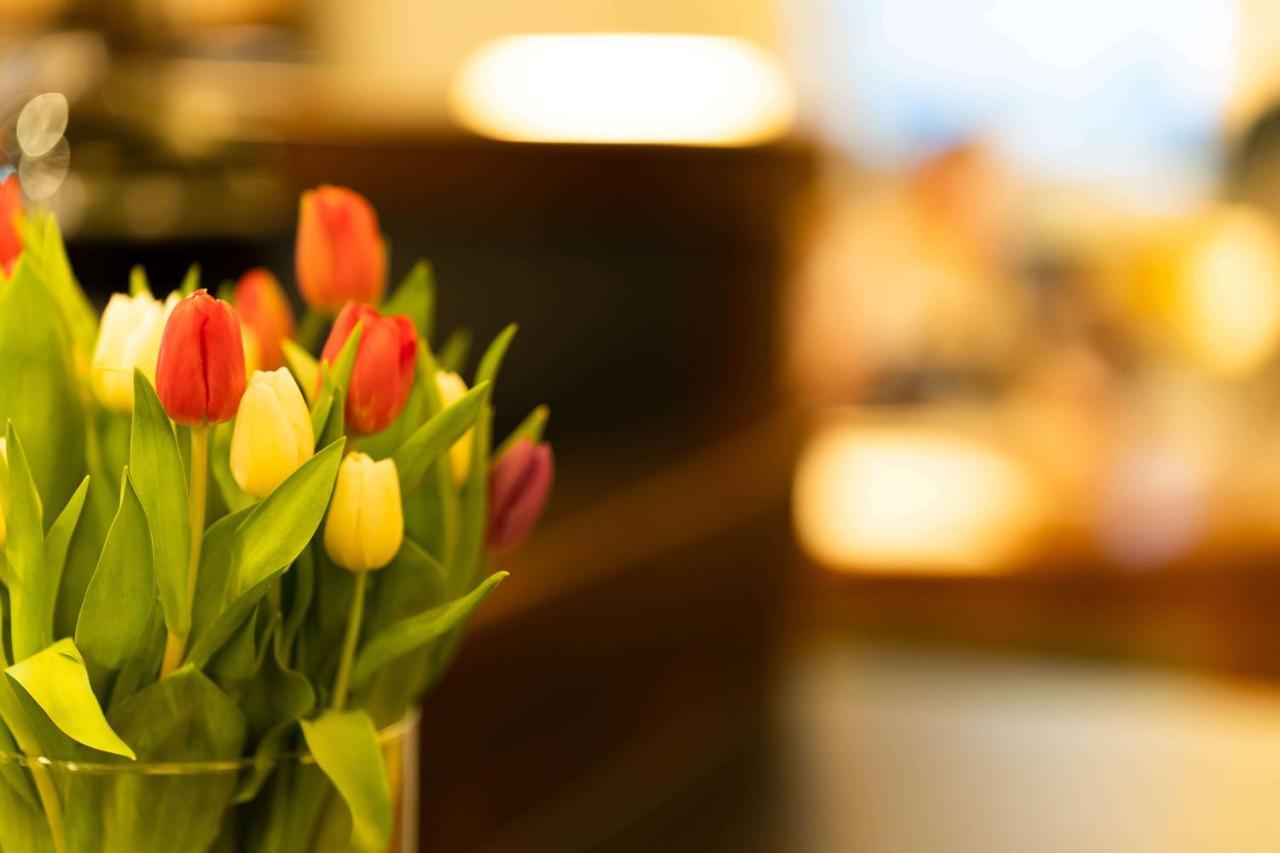Logis Hotel Quartier 5, Saechsische Schweiz, Mit Restaurant, Cafe & Bar Курорт Горіш Екстер'єр фото