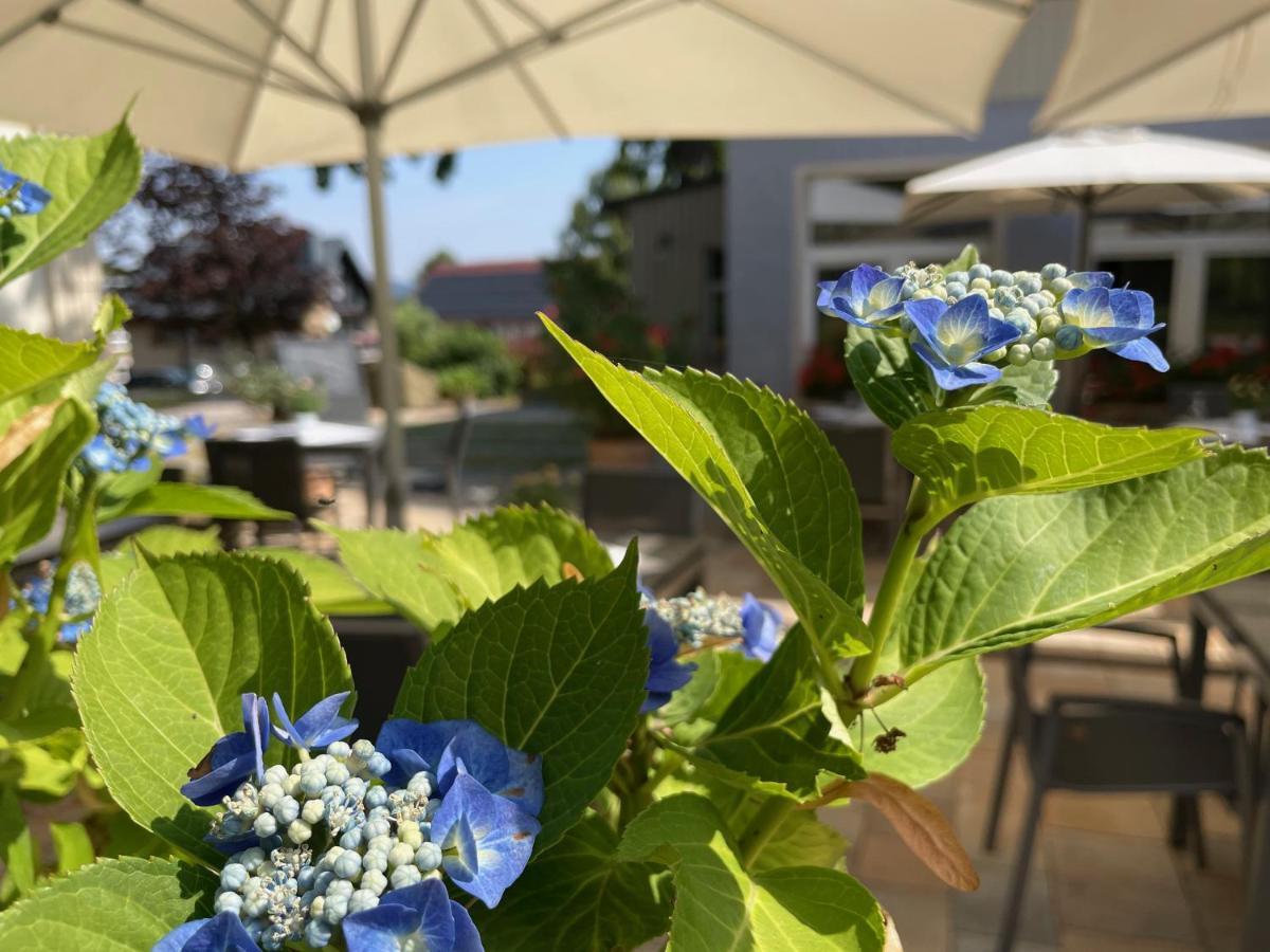 Logis Hotel Quartier 5, Saechsische Schweiz, Mit Restaurant, Cafe & Bar Курорт Горіш Екстер'єр фото